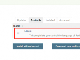 Jenkins设置中文显示